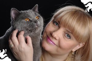 Jewel Sapphire nursery of British cats, OWNER: Nadezhda Gerasimova 