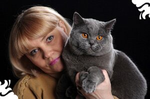 Owner Nadezhda Gerasimova and Golan Lord Moto-Moto breed Brittish shorthair/BRI . Jewel Sapphire nursery of British cats