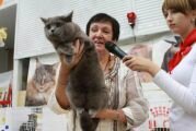 Biscuit Cat's Vorozheya - Ворожея на Международной выставке кошек 